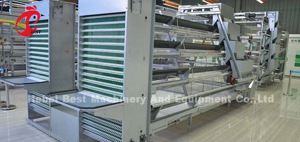 Система 1.5KW 380V Дорис Semi автоматической клетки слоя птицы питаясь