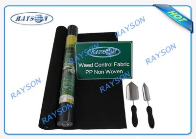 3% UV Sunlight Permeability Non Woven Landscape Fabric With  Certificate