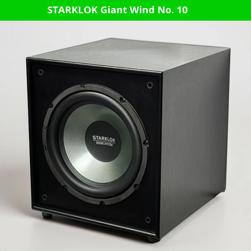 Cyclone No. 10 10-Inch 300W 6 Ohm Subwoofer Giant Wind Ten Ultra Heavy Bass Shocking 10 Inch Subwoofer
