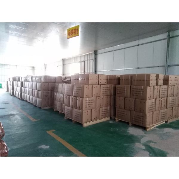 Chiles Калифорния высушили размер Chili Guajillo большой скомплектованный красным рук естественное