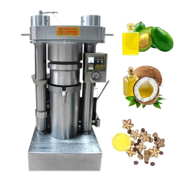 Small Hydraulic Sacha Inchi Seeds Oil Extraction Machine Oil Pressing Machine