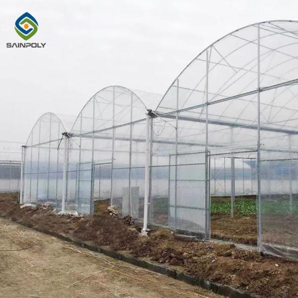 Multi Span Arch Plastic Film Greenhouse Tomato Strawberry Greenhouse Turnkey Project