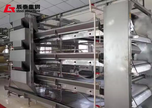 Modern Prefab Agricultural Buildings Steel Structure Broiler Layer