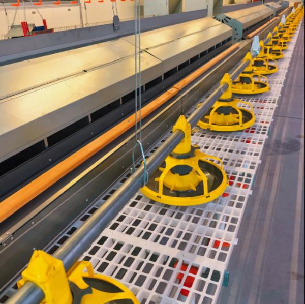 Automatic Poultry Feeding System with Galvanized Steel Construction and Automatic Feeding Control for Chicken Farm Equipment