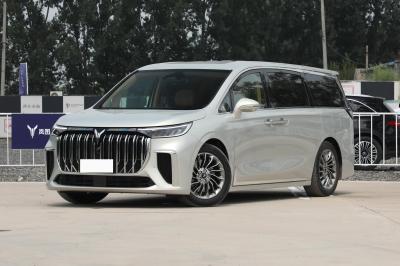 Veículos luxuosos da movimentação da mão esquerda de New Energy do carro elétrico do sonhador MPV de Voyah