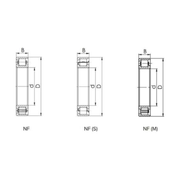 NF ECT Single Row Roller Bearing OEM Customized Electric Motor Bearing