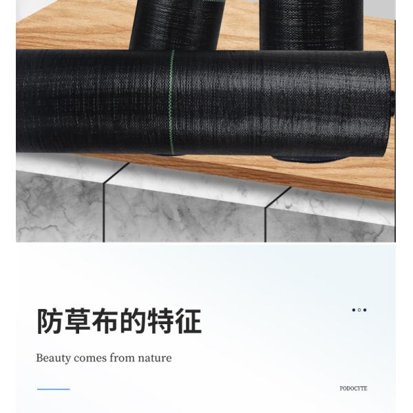Garden Weedmat Agriculture Ground Cover Landscape Fabric Telo Pacciamatura Plastic Mulch Film Agricultural