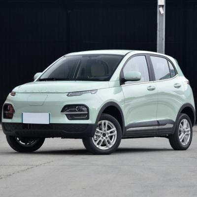 5 Seat Electric Car YUE HU Long Range High Speed Big Capacity Electric SUV