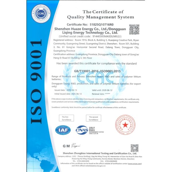 Shenzhen Vats Power Source Limited Certifications