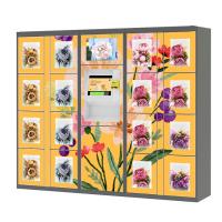 Venda de máquinas de venda de flores de grande porte 24 horas para a loja de flores