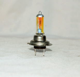 H7 BULBS