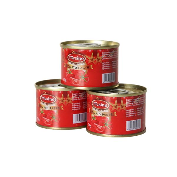 Tomato Paste 70g 100% Fresh Ripe Tomatoes for Stir-Fry and Barbecue Premium Ketchup with Sour & Sweet Taste Ready to Eat