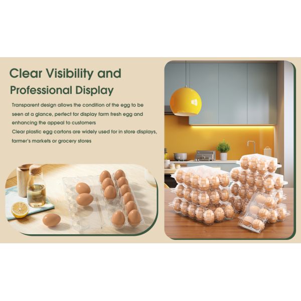 Clear Plastic Egg Cartons - Clear Containers With Date Labels - Bulk Egg Storage Set - Reusable Storage Containers - 12-Count, Pack Of 48