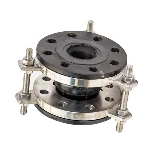 Dn65 Pn40 High Pressure End Face Fully Sealed Rubber Joint 2507 Duplex Steel Flange