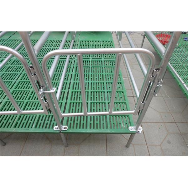 Сталелитейная ферма покупает оборудование для птицеводческой фермы в Индии