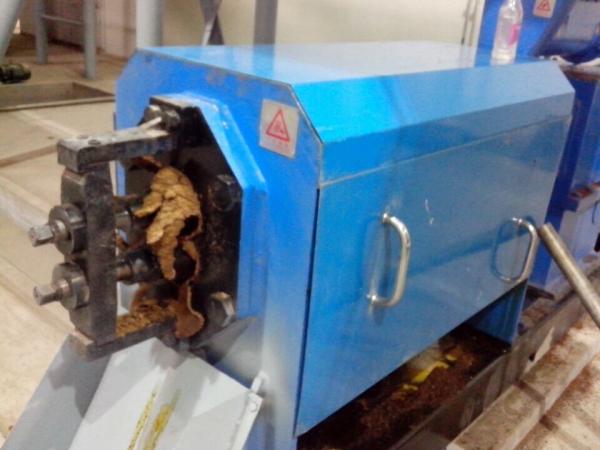 100tph Edible Oil Making Machinery Avocado Mustard Olive Oil Cold Pressing Machine