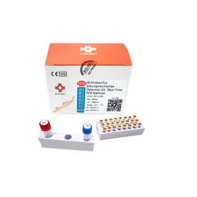 Teste suíno Kit Rt Pcr Fluorescence APP de Pleuropneumoniae do Actinobacillus