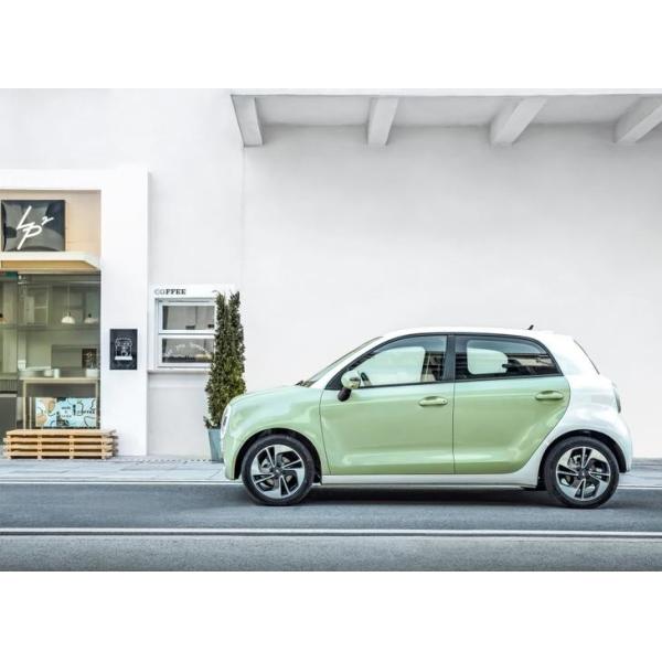 Энергия Vehices 102km/h черного кота Euler автомобилей 351KM электрическая мини EV новая для дамы