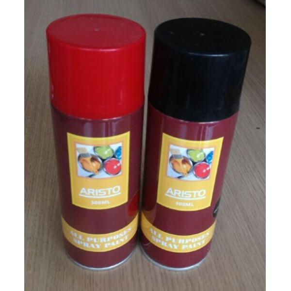 Multi Purposes Aerosol Spray Paint for Interior and Exterior