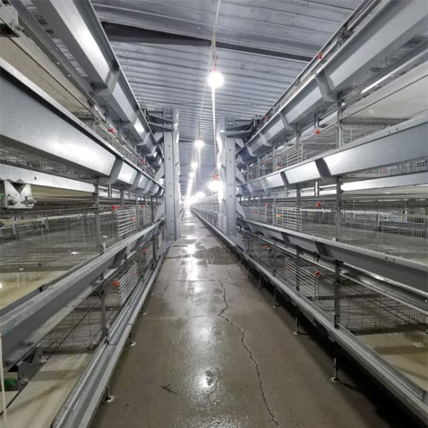 3-9 étages Ferme à batterie Cage de poulet avec système automatique à haute densité