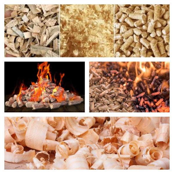 завод мельницы лепешки биомассы деревянного создателя лепешки 250~800kg/H промышленный