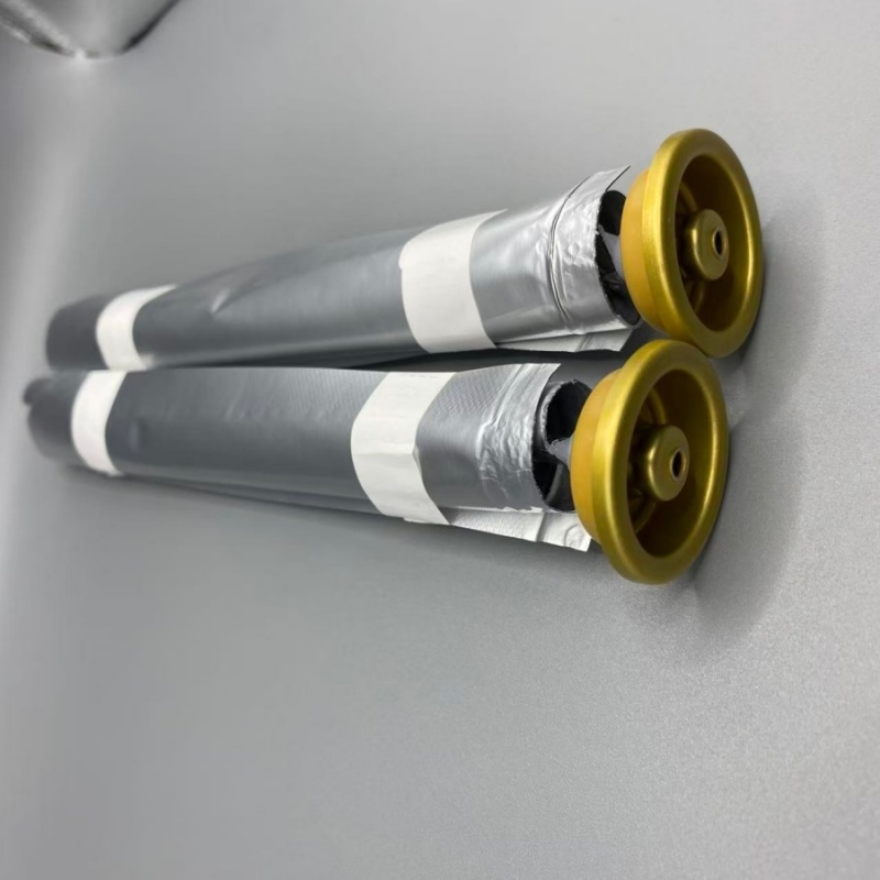 Eco-Friendly Female Bag on Valve Aerosol System for Sustainable Packaging