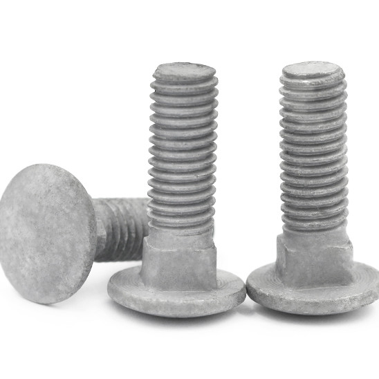 HDG Din603 Mushroom Round Head Square Neck Carriage Bolt