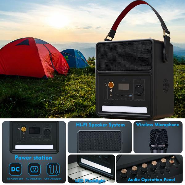 Portable Power Station Blue Tooth Speaker 800w Private Mold For Outdoor Karaoke