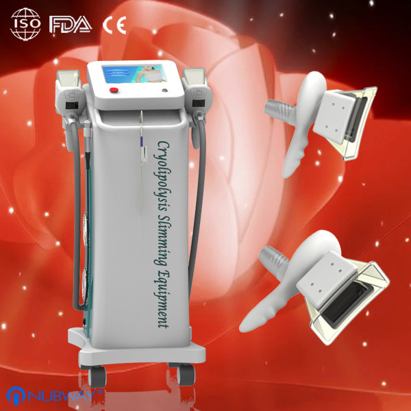 Two Cryolipolysis handles Cryolipolysis fat freeze slimming machine to do fat