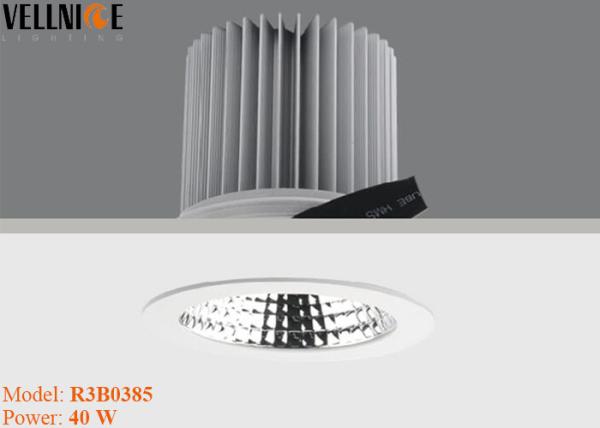 40W Hotel Dimmable LED Downlight , Traic 1-10V DALI Dimmable Hotel Lobby Downlight