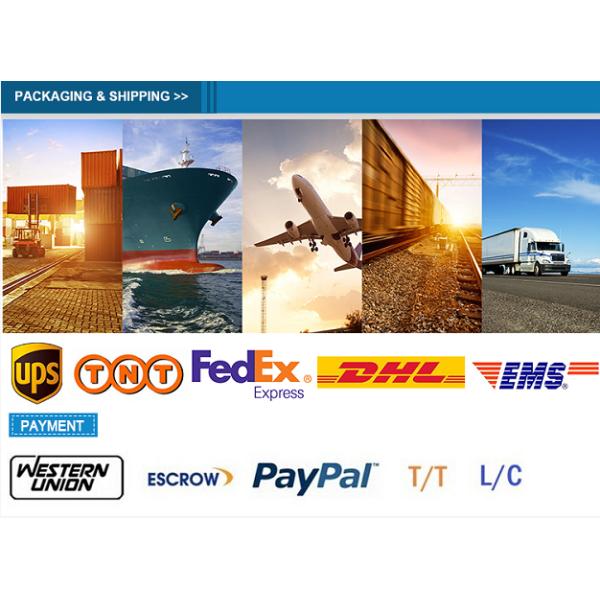 Коннектор M12 с водянистыми 8-контактными формованными розетками