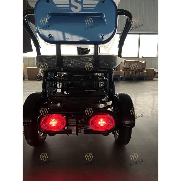2024 Adult Cargo Electric Tricycle Motorcycle Bike Three Wheel Electric Tricycle 3 Wheel Single Gross Weight 75.000 kg