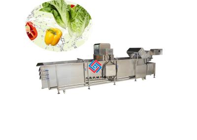 Máquina do líquido de limpeza das frutas e legumes de 1000 quilogramas, máquina de lavar da erva da alface do alho