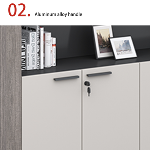 customization Office furniture, documents, materials, bookcases, wall mounted low cabinets, practical storage and storage wardrobes