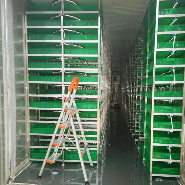 Высокие верблюды выхода устрашают Hydroponic контейнер корма для пускать ростии ячменя