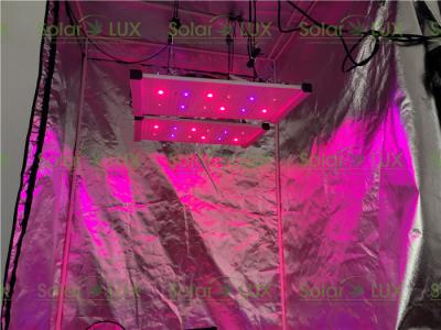 La tente 2x2 de la serre chaude 240Watt menée élèvent la lumière