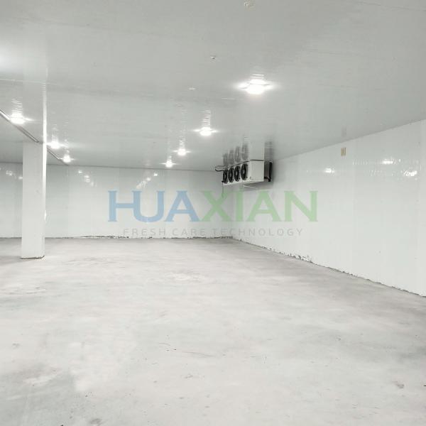 400sqm China Sale Water Cooling Mushroom Cold Storage Refrigeration Freezer Room Price