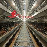 Système de cage de poulet à couche H entièrement automatique résistant à la corrosion
