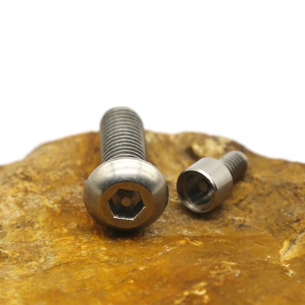 Industrial Custom Anti Theft Screw Stainless Steel Safety Fasteners