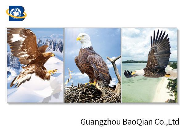 Wall Hanging Decorative Beautiful Flying Eagle 3d Flip Moving Home / Hotel Wall Decoration