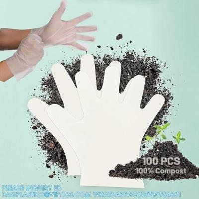 Compostable Food Prep Disposable Gloves Restaurant Grade Safe For Cooking Handling Serving PLA Plant-Based Eco Friendly