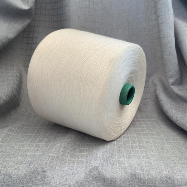 Fils de fibres visqueuses de haute continuité de 120D/2 et de 300D en polyester O/E