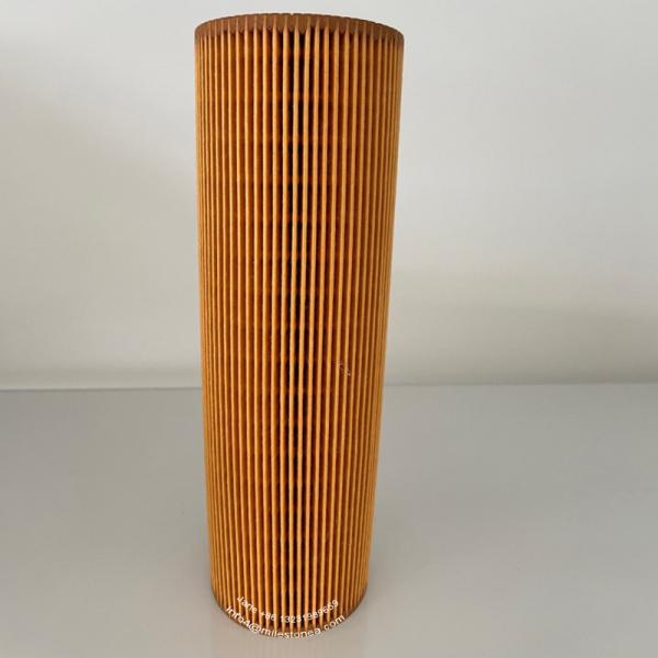 Truck Oil Filter Element 2022275 2037556 HU1077/1X E123HD194 LF17486