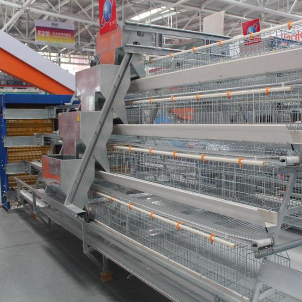 Ячеистая сеть стали клетки птицы слоя батареи 4 ярусов автоматическая