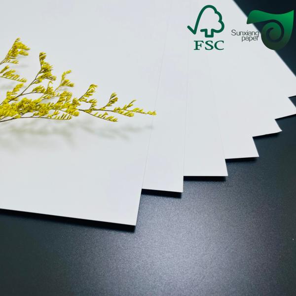 300gm FSC Carton recouvert à une face C1S haute résistance au pliage pour emballage alimentaire
