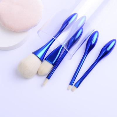 Classical Women Cosmetic Brush Set , Mini Makeup Brush Set OEM / ODM