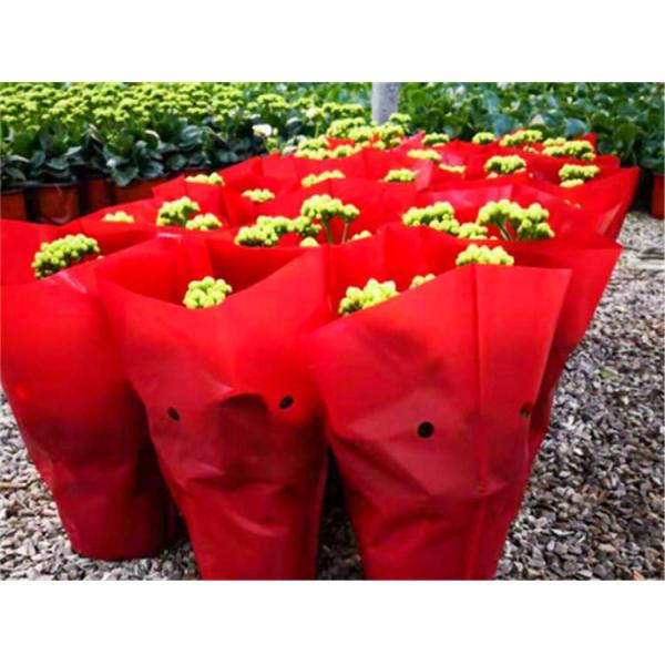 Recyclable Spunbond PET Non Woven Fabric Excellent Water Repellency For Flower Bags