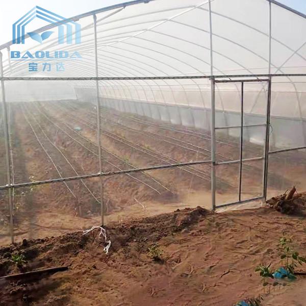 Agriculture Cucumber Chili Single Span Tunnel Plastic Greenhouse With Shading System