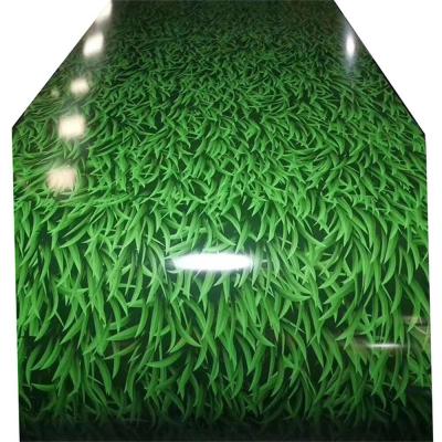 Bobina de aço de ASTM A755M Ppgi Prepainted Gi popular pouco teste padrão da grama
