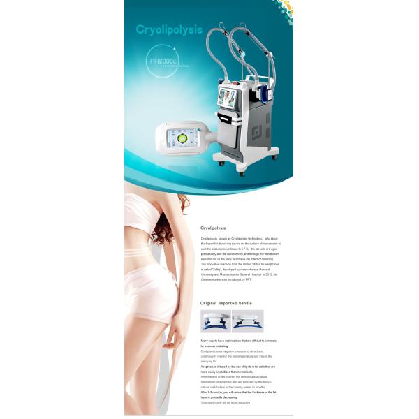 Body Slimming Cryolipolysis Slimming Machine Frozen Cavitation RF Handle Vacuum